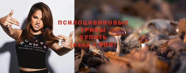 марки nbome Каменногорск