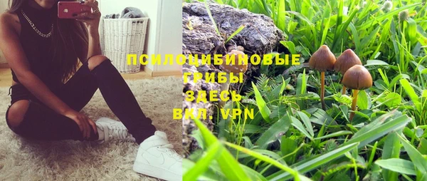 марки nbome Каменногорск