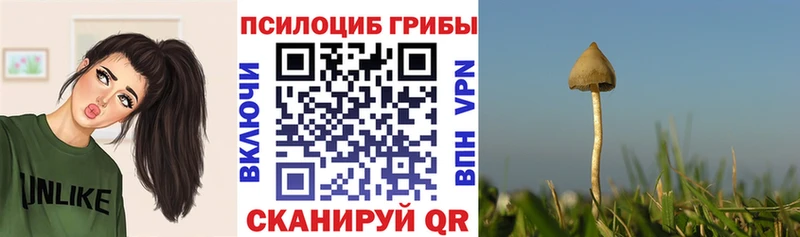 Галлюциногенные грибы мицелий  Купить закладки  Георгиевск 